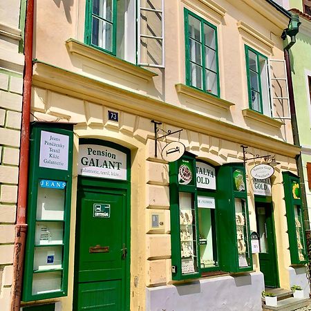 Апартаменти Apartman Galant Чеський Крумлов Екстер'єр фото